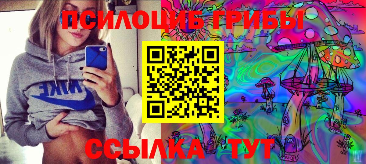 Псилоцибиновые грибы GOLDEN TEACHER  Вход с VPN  Подольск 